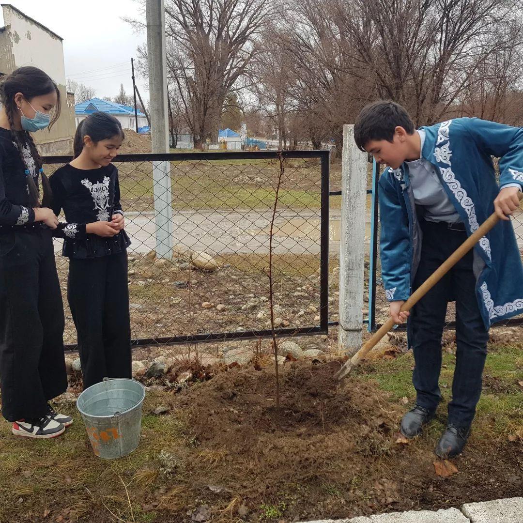 Көшет отырғызу челленджі